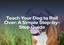 Teach Your Dog to Roll Over: A Simple Step-by-Step Guide