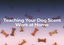 Teaching Your Dog Scent Work at Home