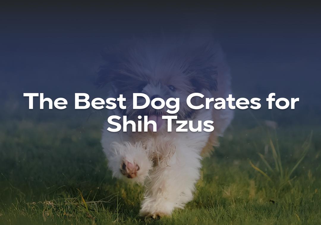 What Size Dog Crate for Shih Tzu: Expert Guide