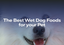 The Best Wet Dog Foods for Your Pet