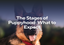 The Stages of Puppyhood: What to Expect