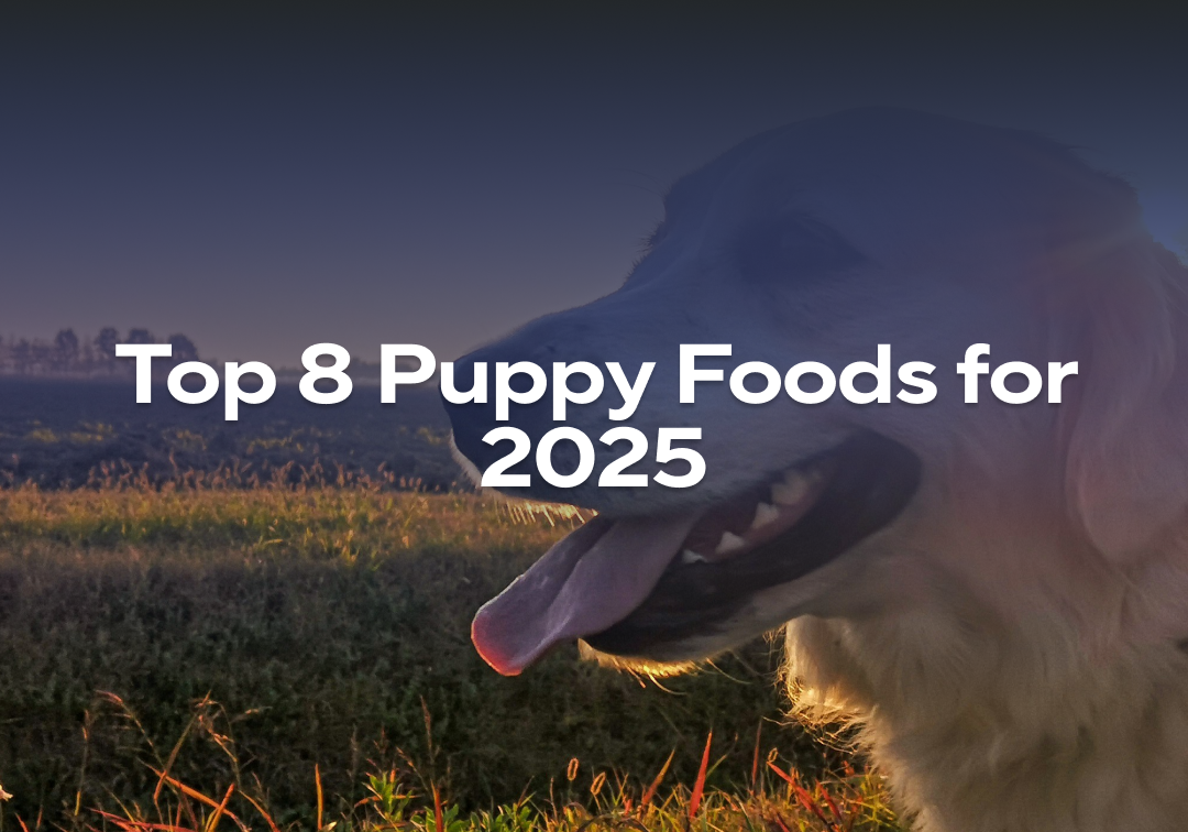 Top 8 Puppy Foods For 2025 Impact Dog Crates