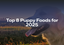 Top 8 Puppy Foods for 2025