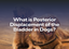 What Is Posterior Displacement Of The Bladder In Dogs?