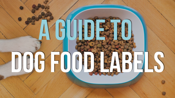 A Guide to Dog Food Labels