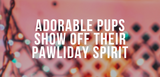 adorable pups show off their pawliday spirit