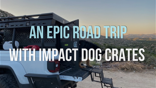 An Epic Road Trip with Impact Dog Crates