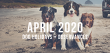 april 2020 dog holidays