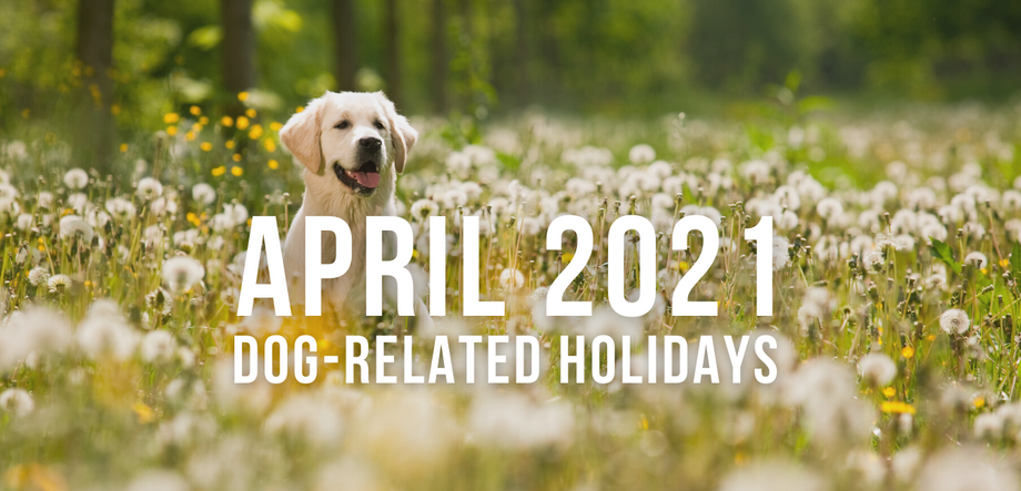 April 2021 Dog-Related Holidays – Impact Dog Crates