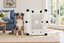 An Australian Shepherd sitting beside Impact's white Collapsible Dog Crate in a bright living room.