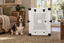 A Basset Hound sitting beside Impact's white Collapsible Dog Crate in a living room.