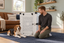 A Beagle resting beside an Impact Collapsible dog crate.