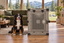 A Bernese Mountain Dog sitting beside Impact's gray Collapsible Dog Crate in a living room.