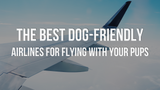 The Best Dog-friendly Airlines for Flying with Your Pups