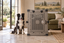 A Border Collie sitting beside Impact's gray Collapsible Dog Crate in a bright living room.