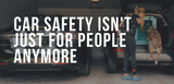 car safety isn't just for people anymore