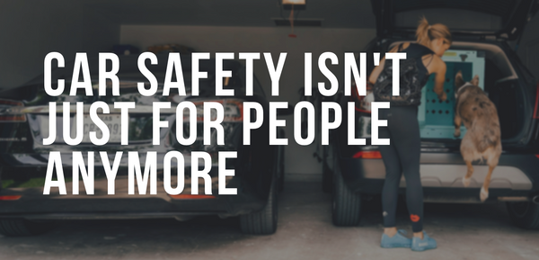 Car Safety Isn’t Just for People Anymore