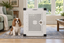 A Cavalier King Charles Spaniel sitting on a blue patterned rug beside Impact's white Stationary Dog Crate in a living room.