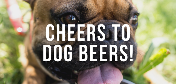 Cheers to Dog Beers!