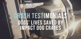 crash testimonials- dogs' lives saved by impact dog crates