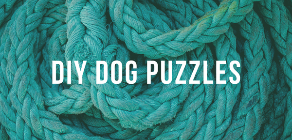 DIY Dog Puzzles