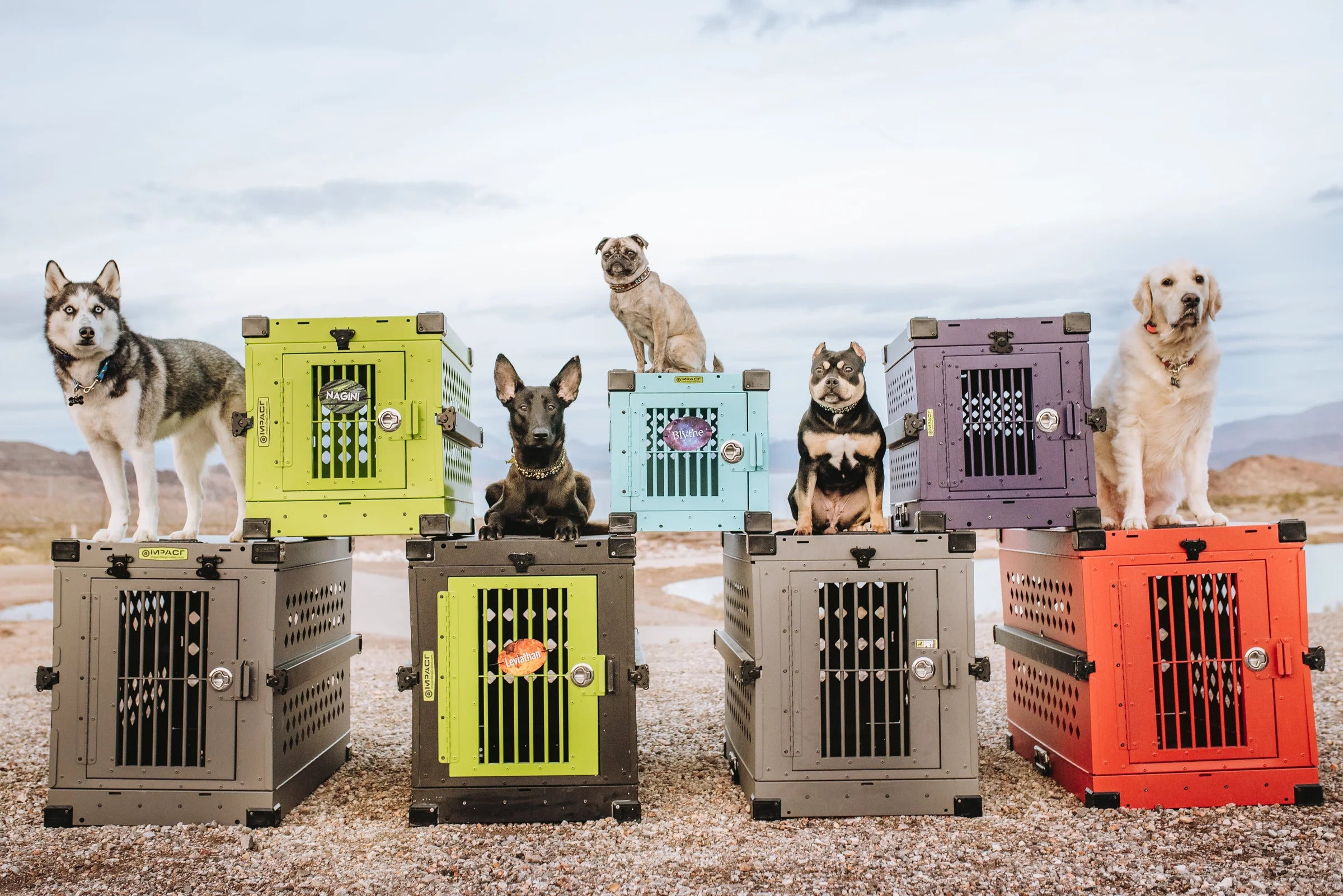 Dog Crate Sizing Guide: How To Choose To Perfect Size For Your Dog or ...