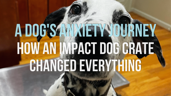 A Dog's Anxiety Journey: How an Impact Dog Crate Changed Everything