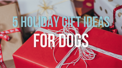 5 Holiday Gift Ideas for Dogs