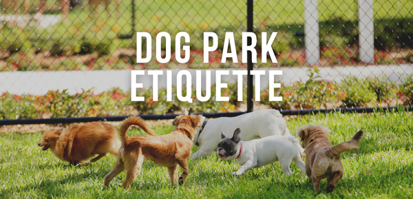 Dog Park Etiquette