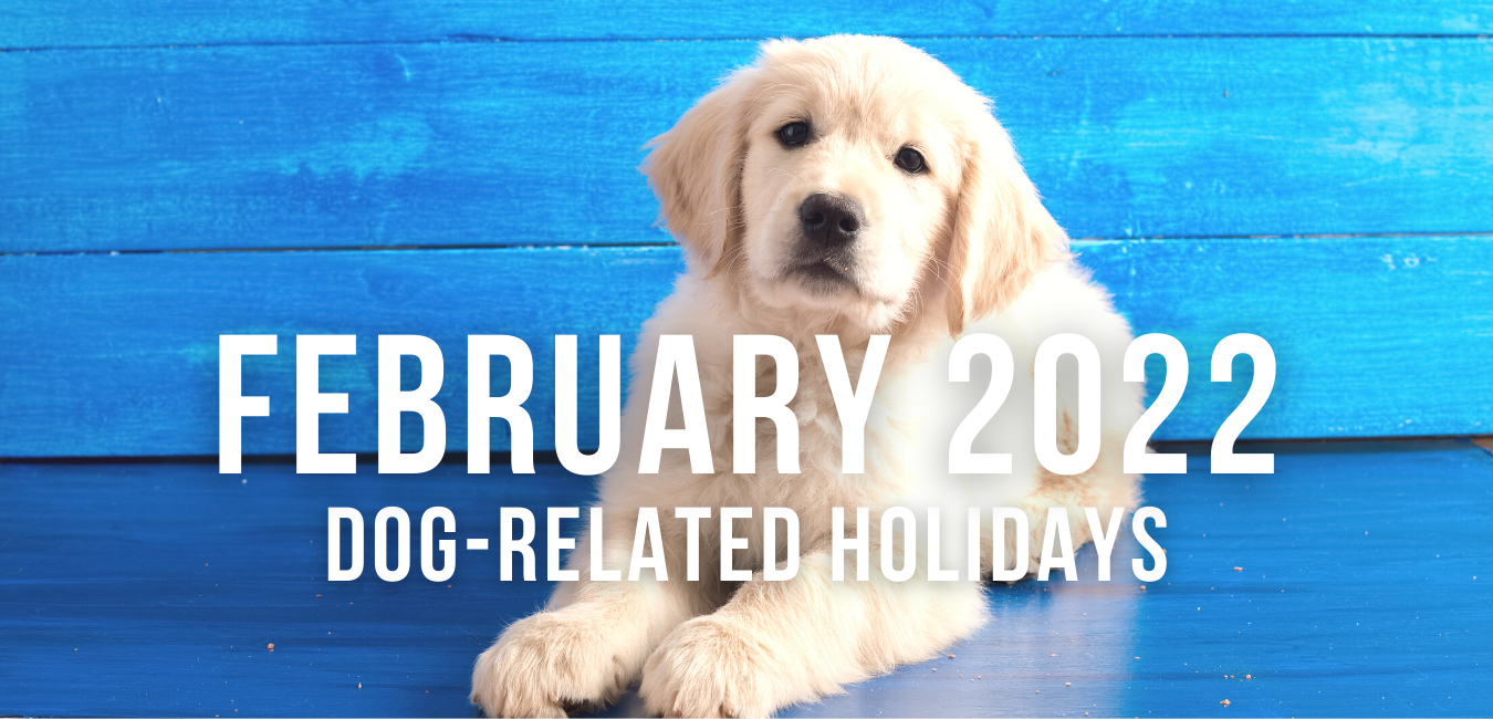Pet Holidays and Observances in February 2022 – Impact Dog Crates