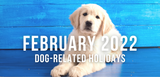 february 2022 dog related holidays golden retriever puppy