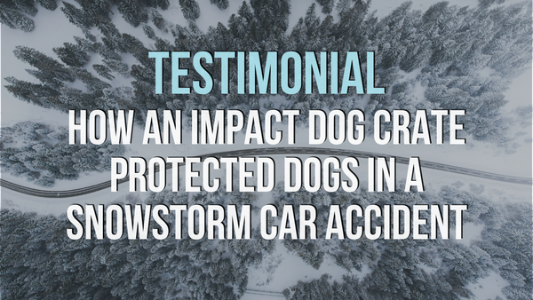 Testimonial: How an Impact Dog Crate Protected Dogs in A Snowstorm Car Accident