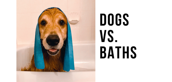 Dogs vs. Baths