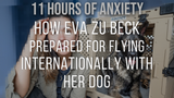 How Eva zu Beck Prepared for Flying Internationally with her Dog