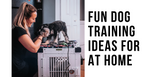 fun dog training ideas for at home