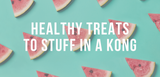 healthy treats to stuff in a kong