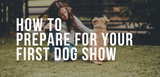 how to prepare for your first dog show