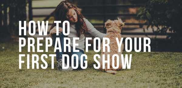 How To Prepare For Your First Dog Show