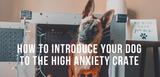 how to introduce your dog to the high anxiety crate