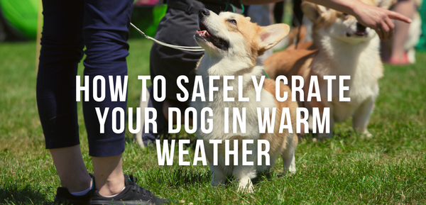 How to safely crate your dog in warm weather