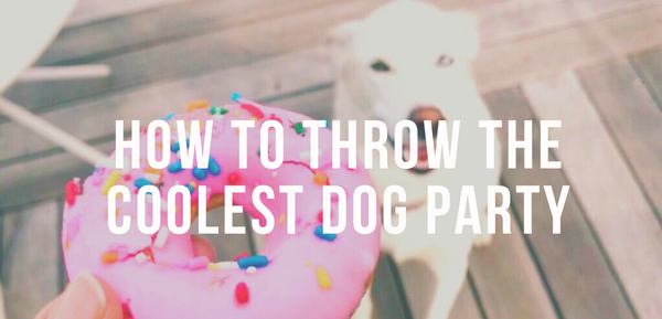 How to Throw the Coolest Dog Party