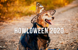 howloween 2020