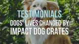 Testimonials: Dogs' Lives Changed by Impact Dog Crates