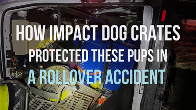 How Impact Dog Crates Protected These Pups in a Rollover Accident