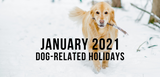 january 2021 dog related holidays