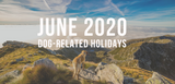 june 2020 dog related holidays