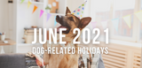 june 2021 dog related holidays image shows dog at party