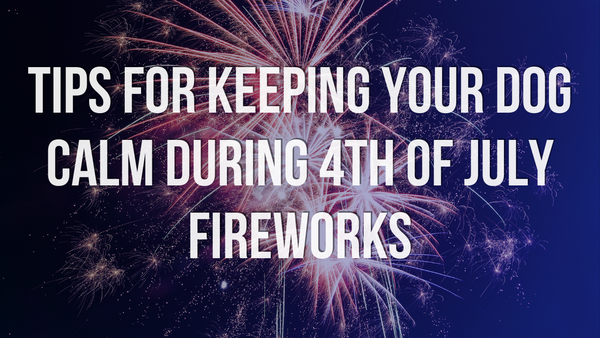 Tips for Keeping Your Dog Calm During 4th of July Fireworks