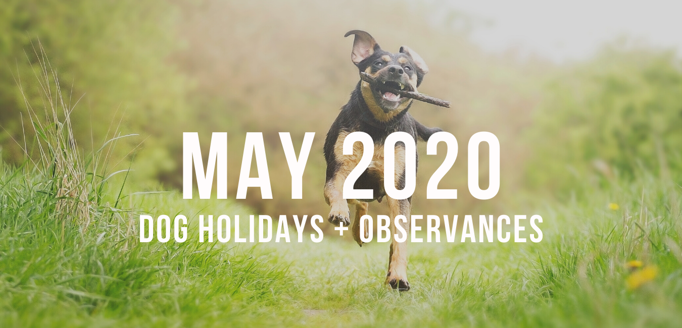 May 2020 Pet Holidays – Impact Dog Crates