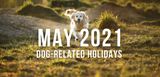 may 2021 dog related holidays